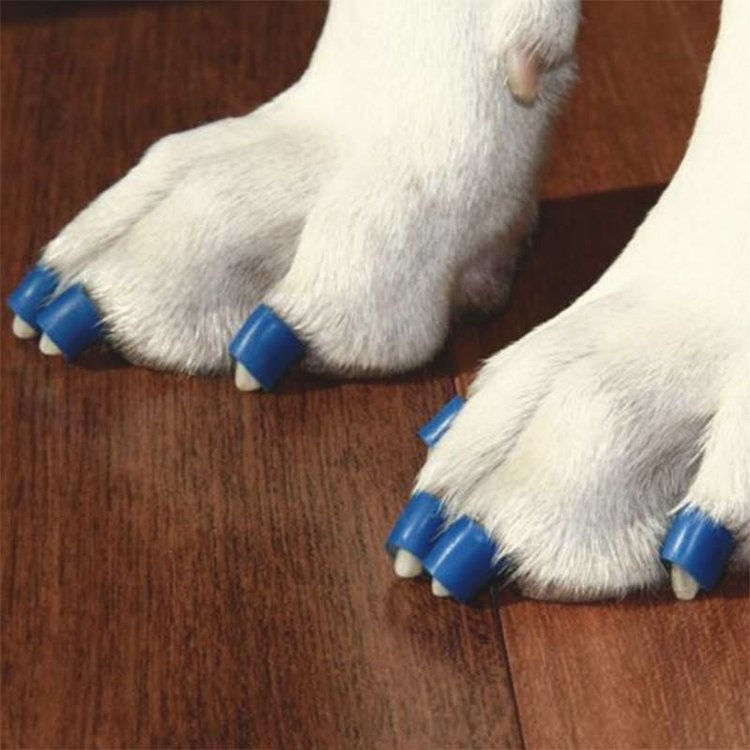 Dr-Buzbys-Toe-Grips.thumb.jpg.6478b82b56691b850a397758e5f9306e.jpg