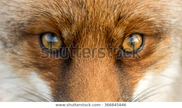 1565190158091515919815.jpg.1387dcefdf8d7e38c06f1c4f0bfd8c0e.jpg