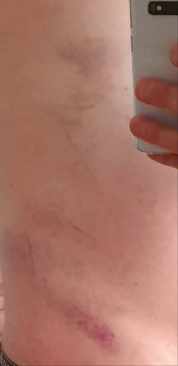 20190825_102624.thumb.jpg.8efb12cbc7192982302064bb290a5e9f.jpg