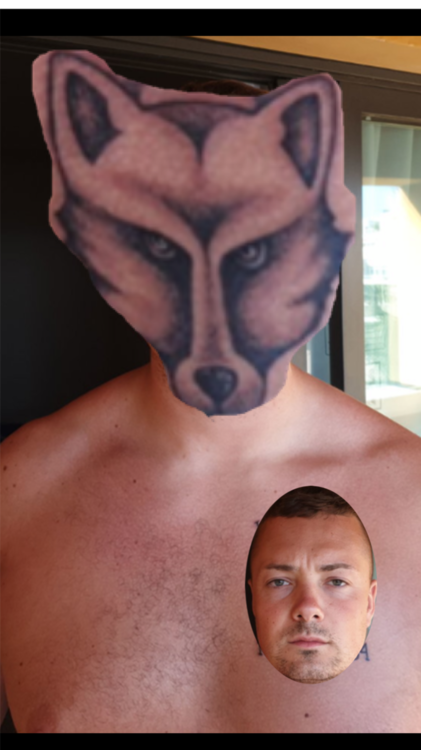 fox.png
