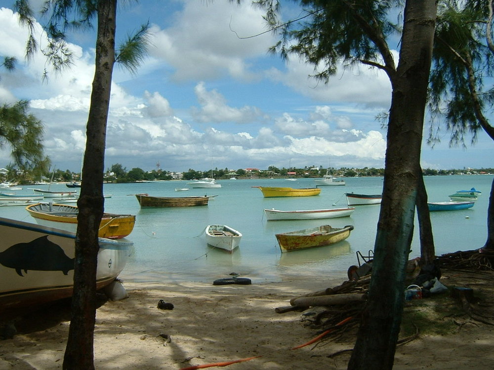 DSCF0081.JPG