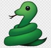 snake.JPG.d4a5fa3ae3d95c12a556ef04fa481a99.JPG