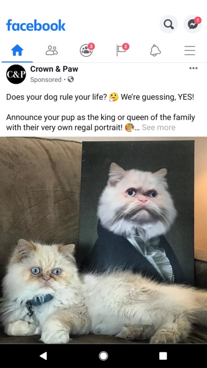 Screenshot_20191115-115123.png