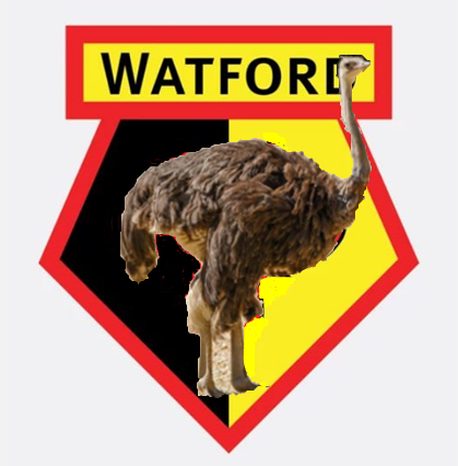 WatfordOstrich.PNG.1592944c1e374f4a3e3fee403dd35c9e.PNG