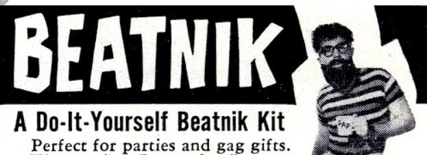 beatnik.JPG.17e87c41f24f960f841117f266fc67d2.JPG