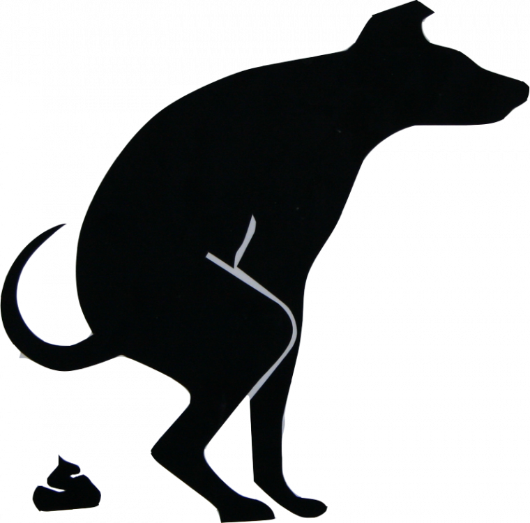 95116BDF-B81D-470F-A9E2-66516B13411B.png
