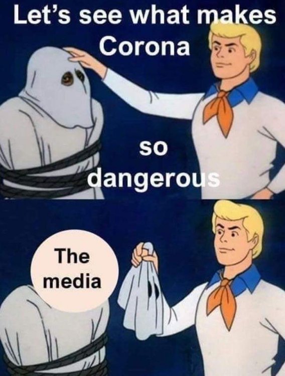 735E0E38-5A5C-436D-8E97-905ED85F240F.jpeg