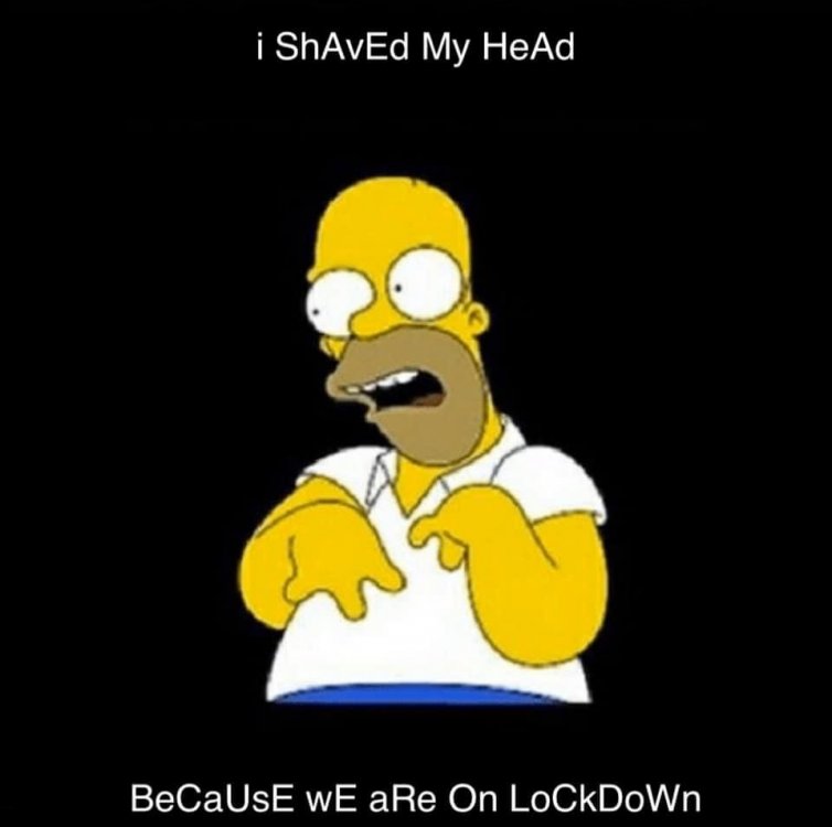 BDFAD86F-02A1-4420-9BC9-669F42E77A0D.jpeg