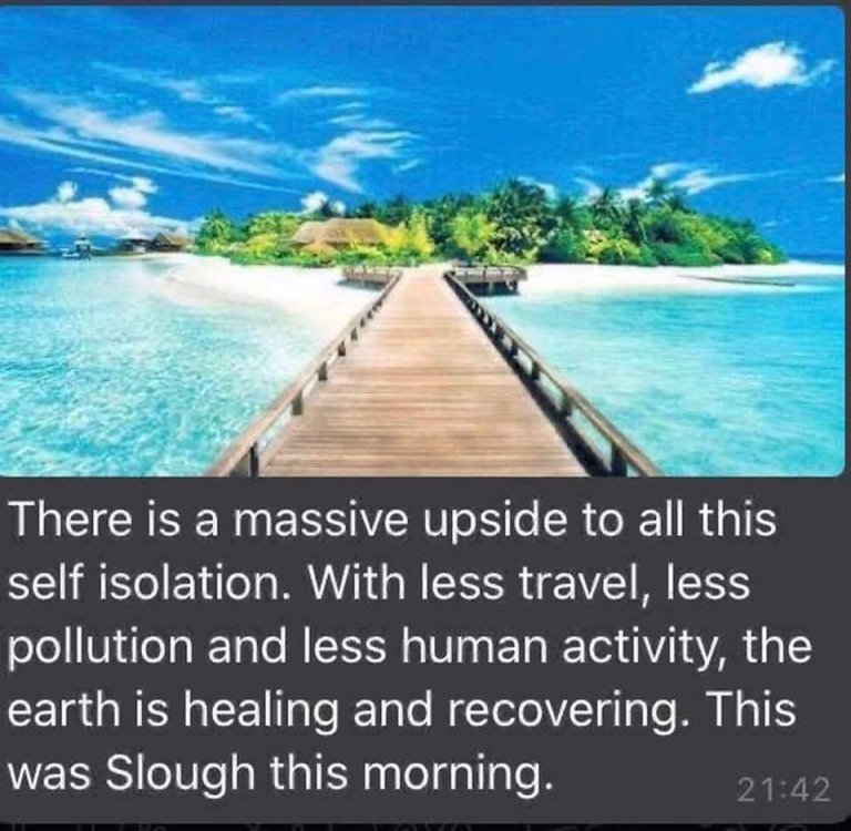 image.thumb.jpeg.8eab2735c88624895889a6422bde4471.jpeg