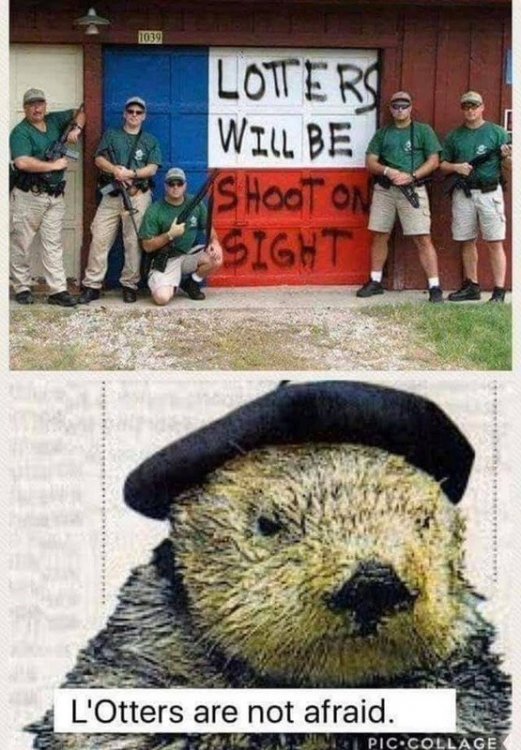 image.thumb.jpeg.eedbe50601fe2a25af1afe5d477c7442.jpeg