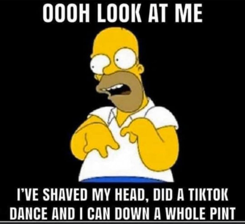 homer.jpg