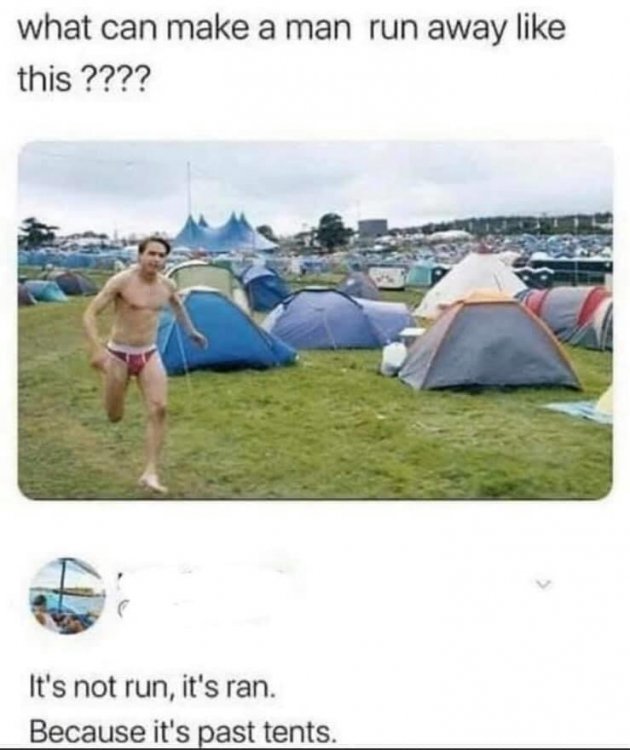 image.thumb.jpeg.072cb7f67d2c8b12d3b50ebbb79d4a9a.jpeg