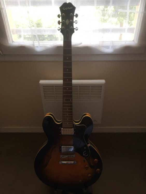 Epiphone Dot.JPG