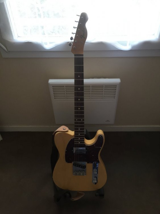 Fender Telecaster.JPG