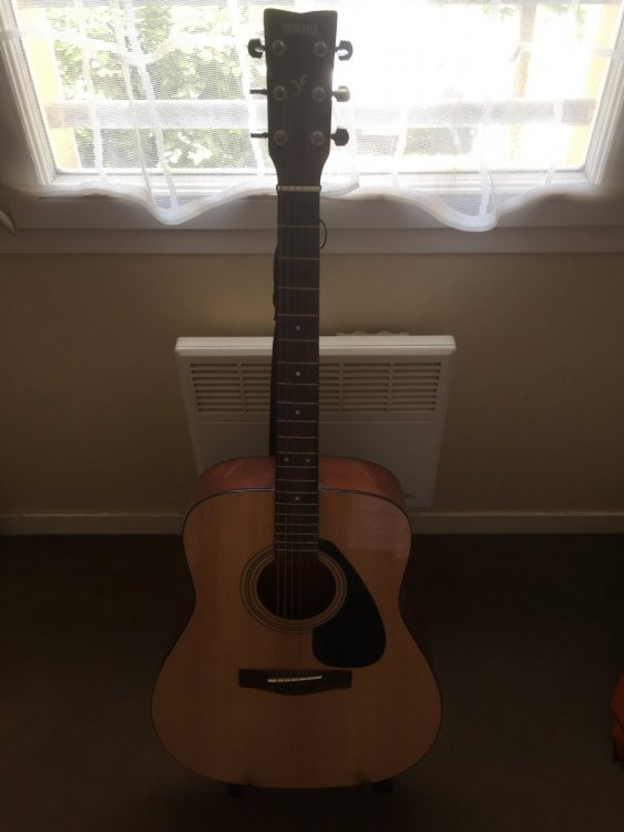Yamaha Folk.JPG
