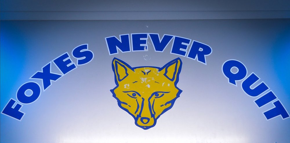 Foxes Never Quit1.jpg
