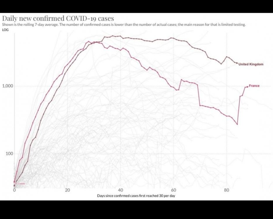20200602_085317.jpg