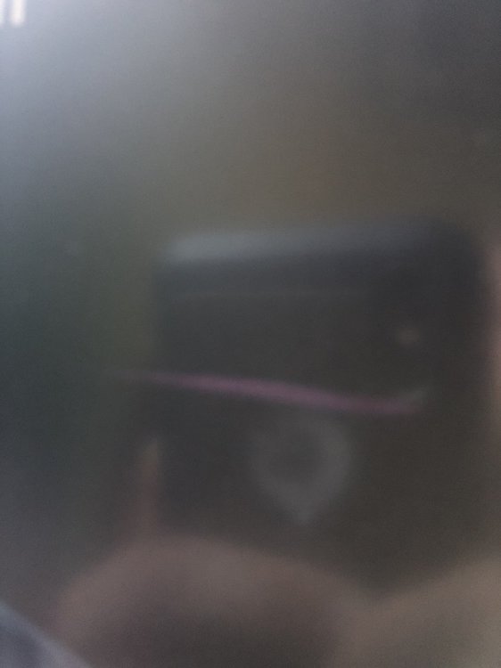 A4F4AC7C-7FF7-4669-A452-1DFFDE347184.thumb.jpeg.a43f22e86d08887c627d20b03b05de09.jpeg