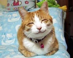 image.jpeg.a32ff448bee66ac3c3f523735070eb57.jpeg
