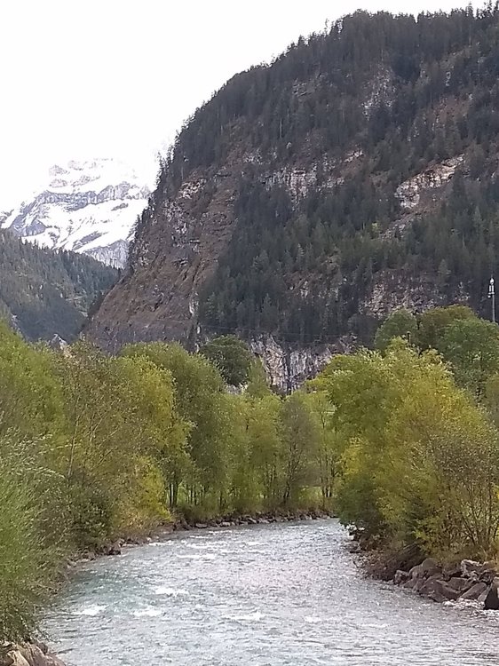 IMG_20201007_123745203.jpg