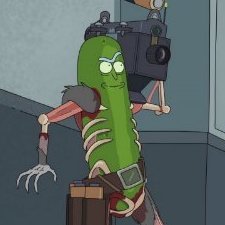 picklerick21