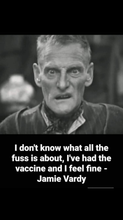 image.thumb.png.6bf576b9a9dd6351a6964361a5836379.png