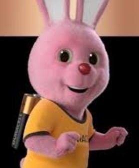 duracell.JPG.2d5af7b485a43eec6626fc4f2f44daa3.JPG