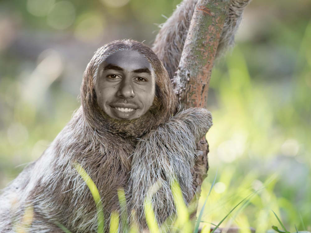 Ayoze.thumb.png.6dc284bcd3037b3321324a9074d6dfce.png