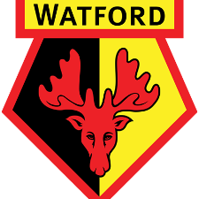 Watford Fan