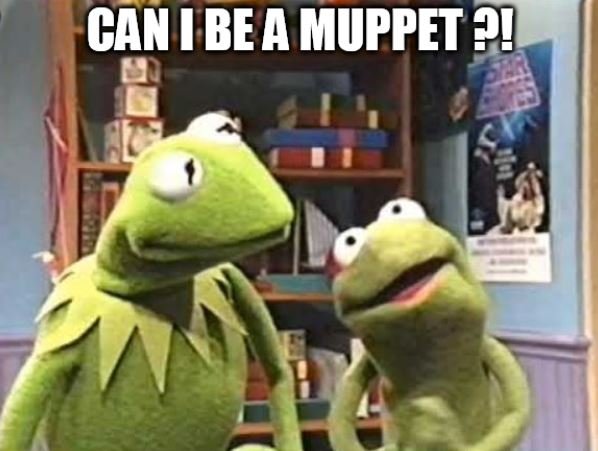 muppet.JPG.03e3e8a428cf788d008631944e90440a.JPG