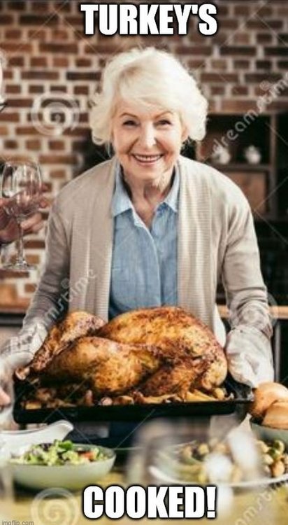 1777801389_TurkeyCooked.thumb.JPG.1dec9454195997f1e1ebbc26d75bcd83.JPG