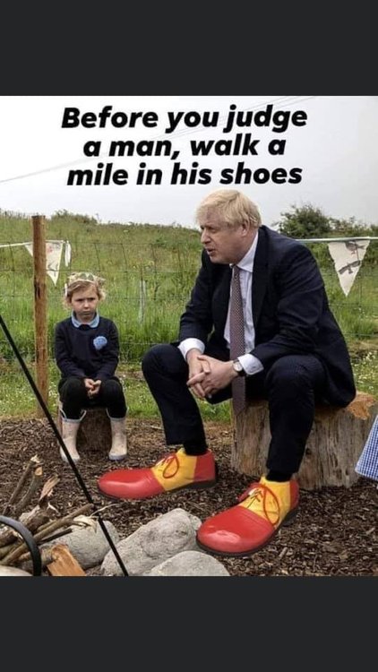 johnsonclown.jpg
