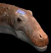 dinoBarin.JPG.dc3def486122af0f95e24c105d506579.JPG