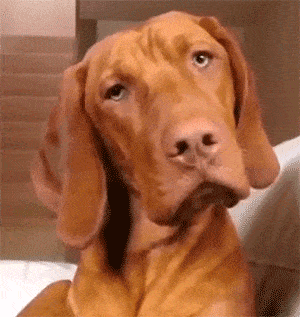 468361347_icegif-2595(1).gif.49e7ed51670eef00e1bca2fb9bcff264.gif