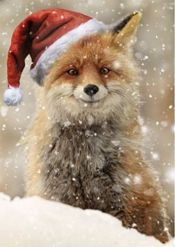 XmasFox.PNG.3a7e2b1ca3d98e71528c3312f15f612a.PNG