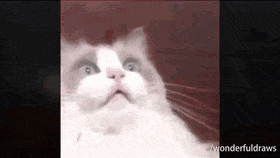 AchingThornyCentipede-max-1mb.gif.8adccdfb08098c9a0b398ab6fc8a4780.gif