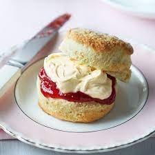 scone.jpg.672075fbf29823f5c3bd18d3a67d40f8.jpg