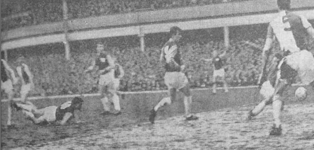 Bloomfield-diving-header.thumb.jpg.f40a94cb1acd0d6ad3a93862cd77a1a2.jpg