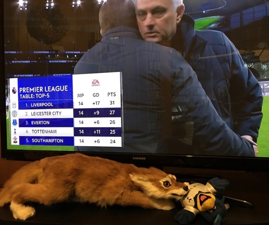 OurFox.thumb.jpg.71062ded1624c07458d8101567f12501.jpg