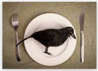 crow.JPG.c77625a35d41746094a5e9579fec096e.JPG