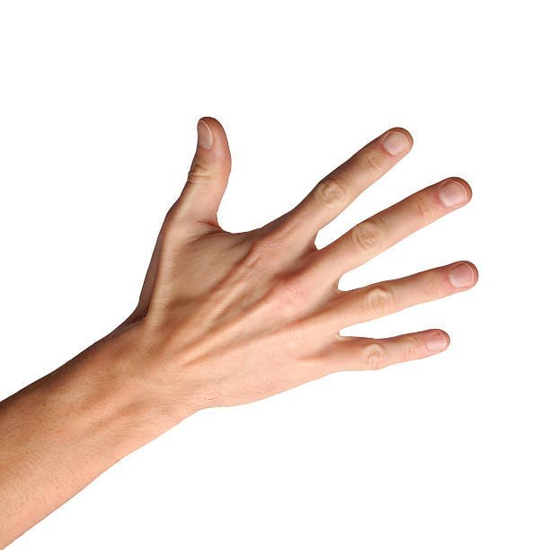 hand.jpg.5b5a0331c04097de27e7d6faf39a4659.jpg