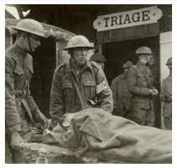 triage.JPG.832a3eeba817f1a30d40640eafb57f05.JPG