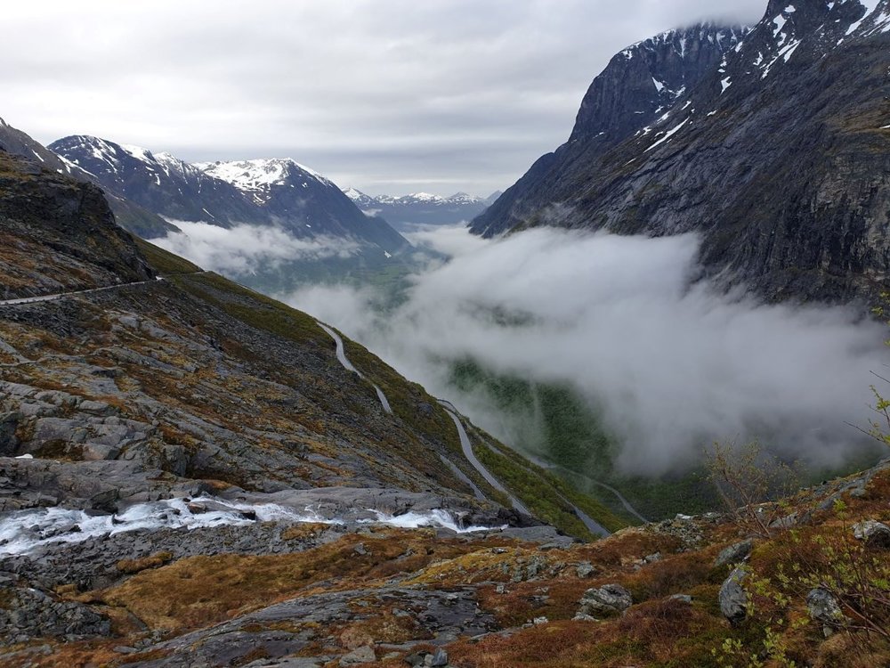 20190602_094100 - Copy.jpg