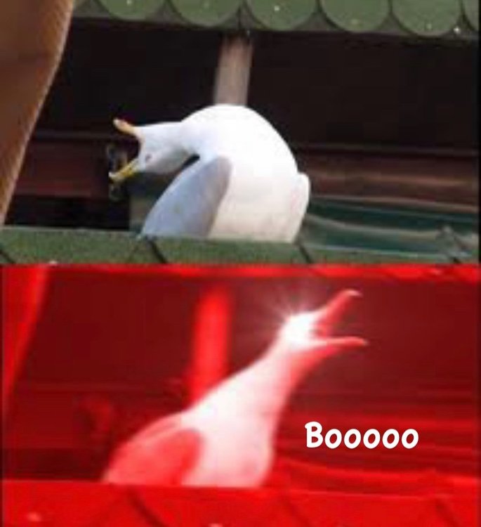IMG_0523.jpeg