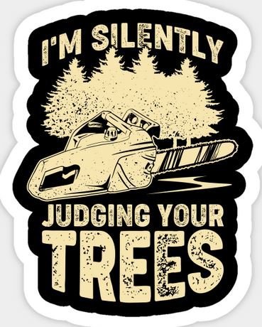 judgingtrees.JPG.fb1b9746a56c8aebaf119767aff74c52.JPG