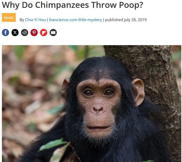poop.JPG.aa1cc7674e88b1ba6f151a702a6caae7.JPG