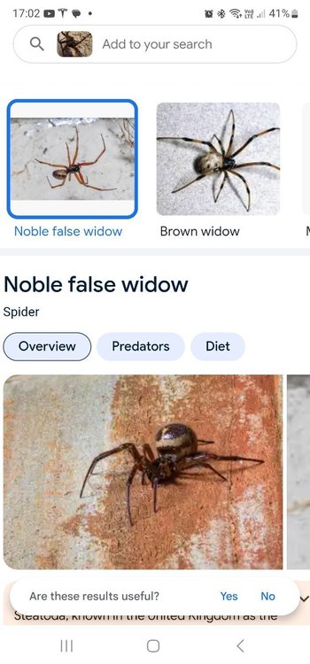 Screenshot_20240411_170239_Google.jpg