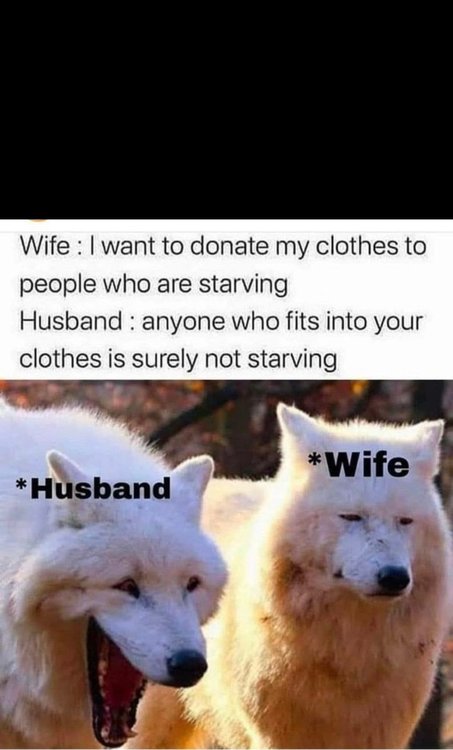 4D0B5A1C-0D5F-479E-A3F9-E6C66F9ACF24.jpeg