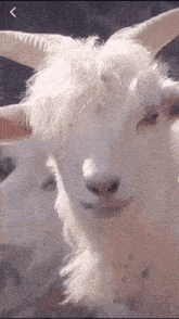 image.gif.abc0e17d31c6df5e5afad52713bae854.gif