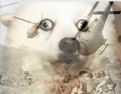 image.jpeg.88f2ac9231cb523bbf12292f4bec06a1.jpeg